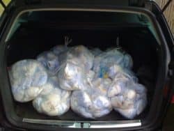 Pampers Angebote Wagenladung