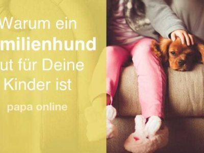 Du möchtest einen Familienhund? 6 Meinungen und Erfahrungen von mir dazu.