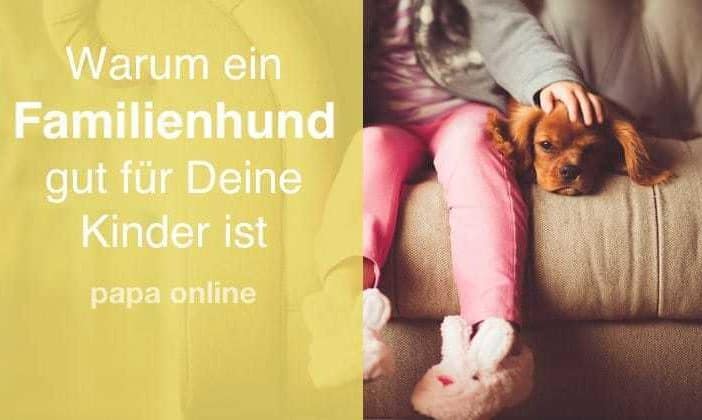 familienhund