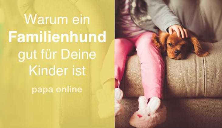 familienhund