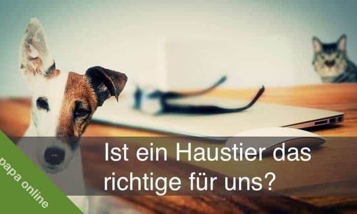 Haustiere für Kinder