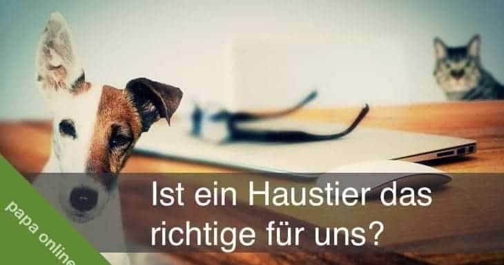 Woher Weiß Ich Ob Eier Noch Gut Sind